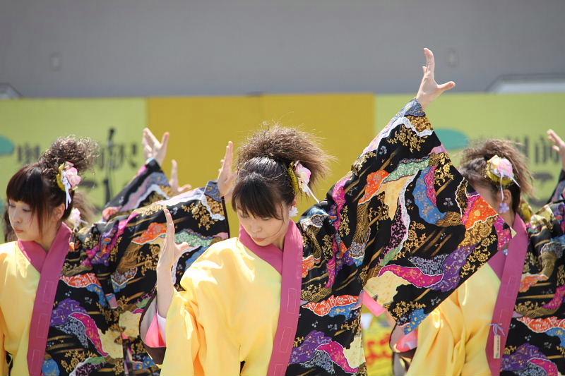 第7回奥州前沢よさこいFestaVII 2011その4 2011/07/10