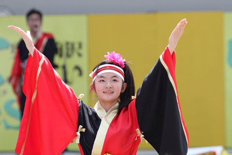 第7回奥州前沢よさこいFestaVII 2011その4 2011/07/10