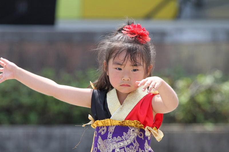 第7回奥州前沢よさこいFestaVII 2011その4 2011/07/10