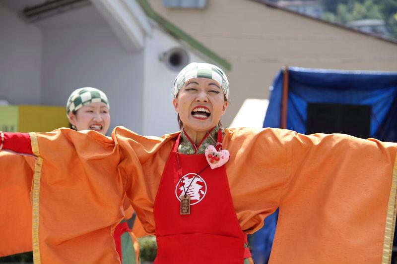 第7回奥州前沢よさこいFestaVII 2011その4 2011/07/10