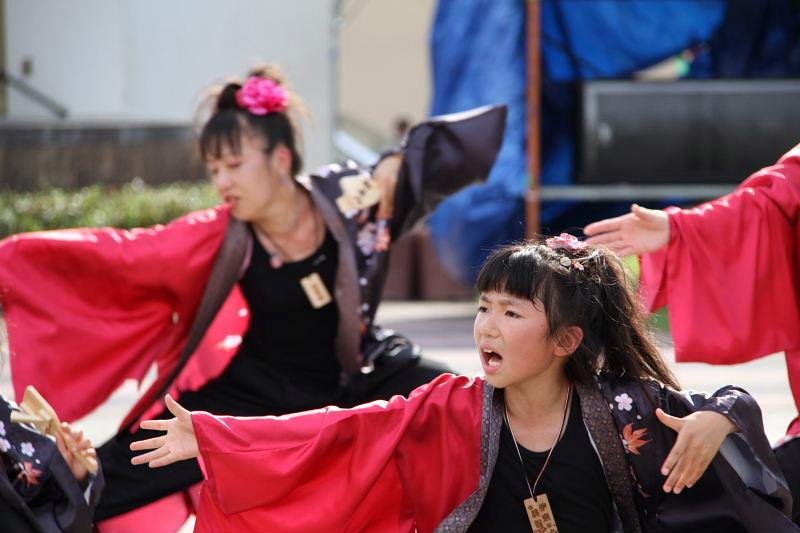 第7回奥州前沢よさこいFestaVII 2011その4 2011/07/10