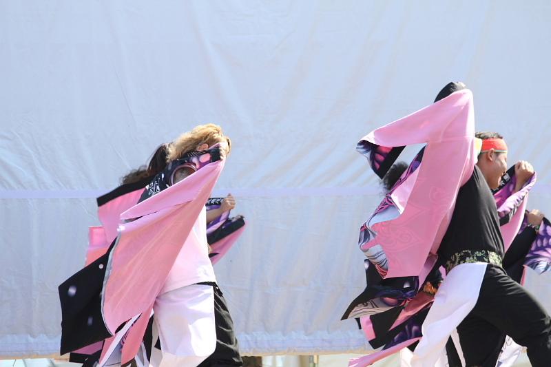 第38回江刺甚句まつり（本まつり）2011その2 2011/10/09