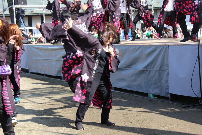 第38回江刺甚句まつり（本まつり）2011その3 2011/10/09