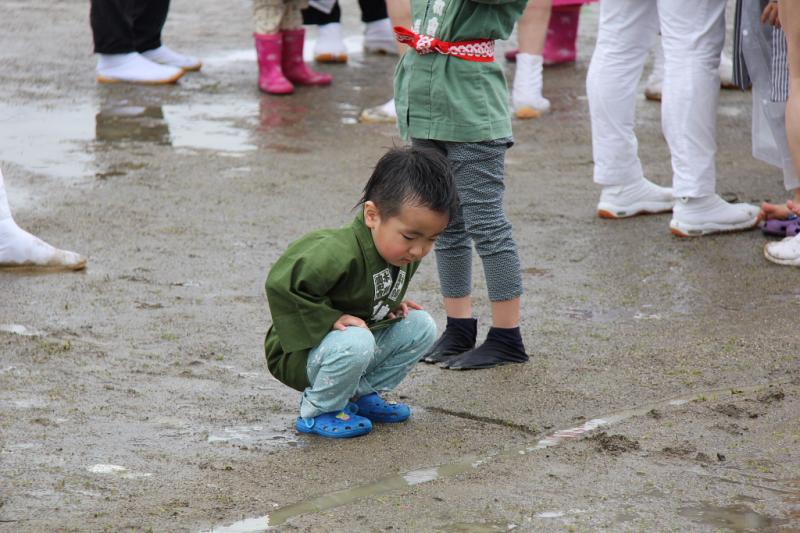 第39回江刺甚句まつり（本まつり）2012その3 2012/05/04