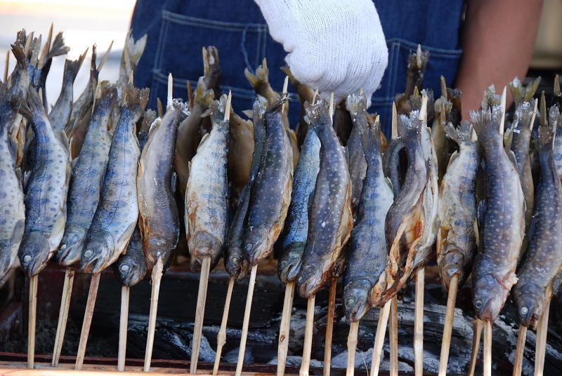 第8回奥州前沢よさこいFestaVIII 2012その1 2012/07/08