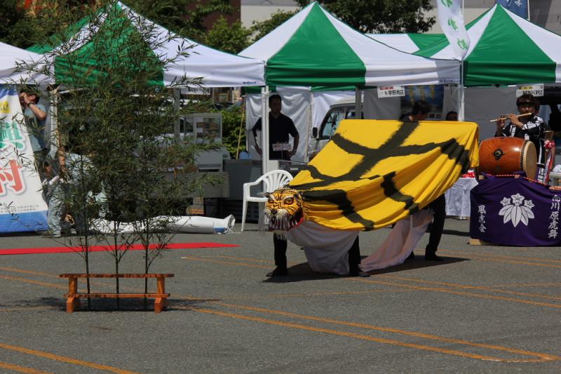 第8回奥州前沢よさこいFestaVIII 2012その2 2012/07/08