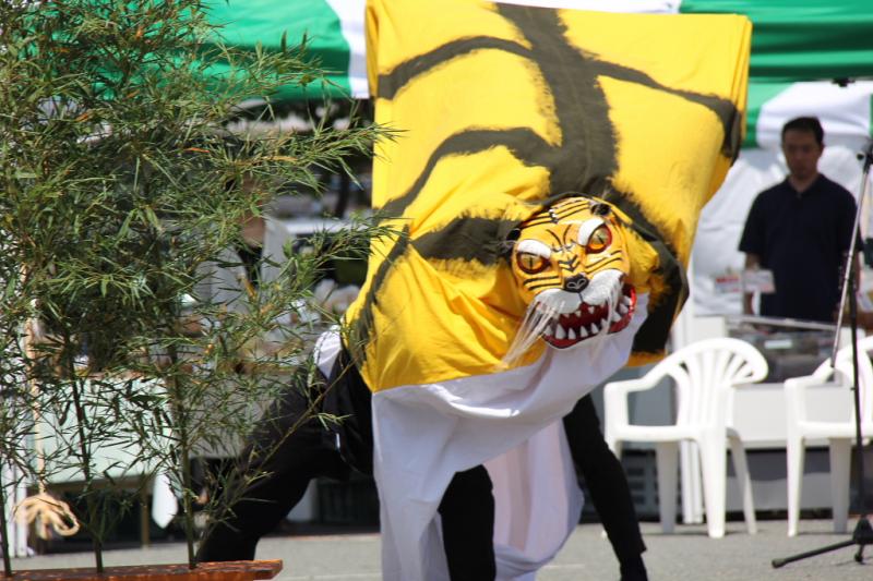 第8回奥州前沢よさこいFestaVIII 2012その2 2012/07/08