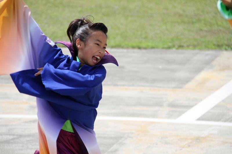 第8回奥州前沢よさこいFestaVIII 2012その3 2012/07/08