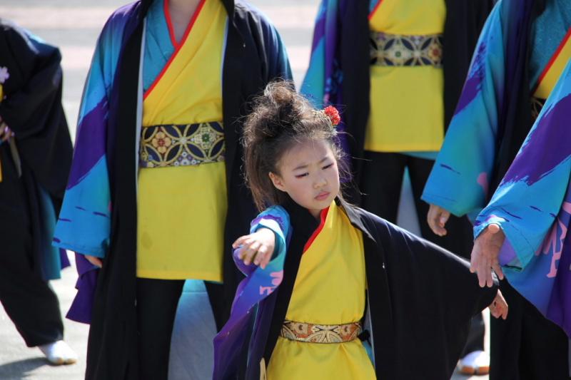 第8回奥州前沢よさこいFestaVIII 2012その3 2012/07/08