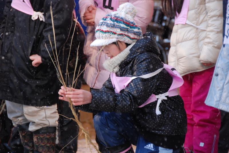 第25回奥州・胆沢「全日本農はだてのつどい」2014その1 2014/02/08