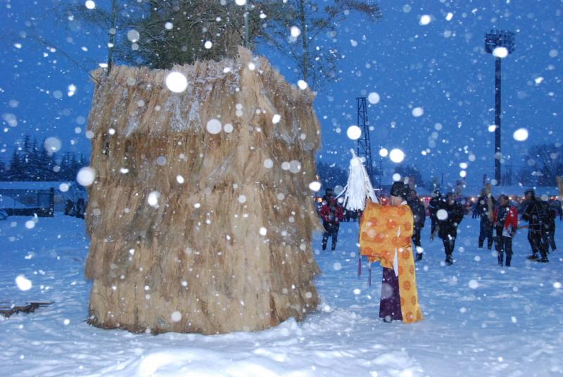 第25回奥州・胆沢「全日本農はだてのつどい」2014その1 2014/02/08