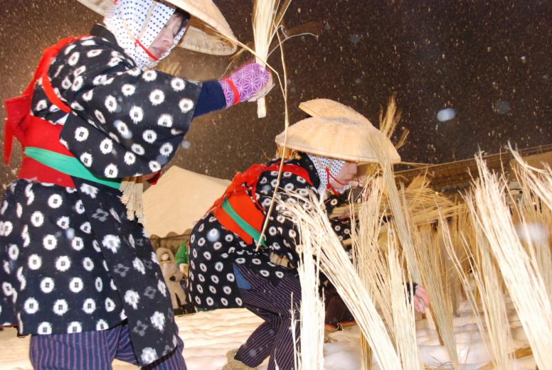 第25回奥州・胆沢「全日本農はだてのつどい」2014その1 2014/02/08