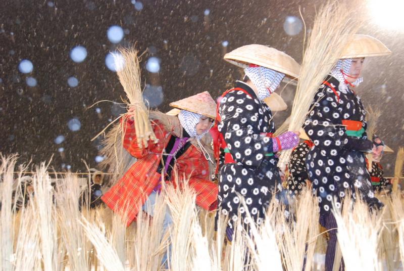第25回奥州・胆沢「全日本農はだてのつどい」2014その1 2014/02/08
