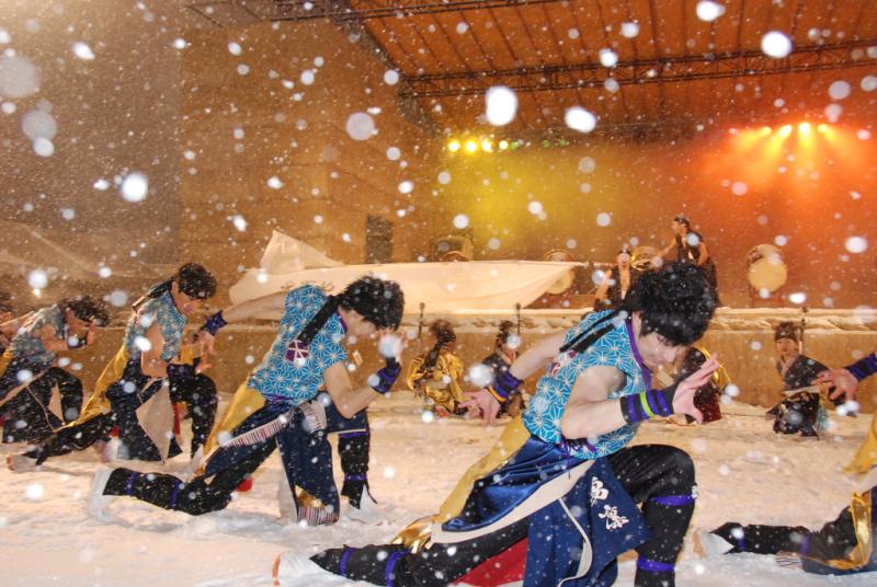 第25回奥州・胆沢「全日本農はだてのつどい」2014その1 2014/02/08