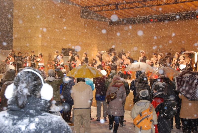 第25回奥州・胆沢「全日本農はだてのつどい」2014その1 2014/02/08