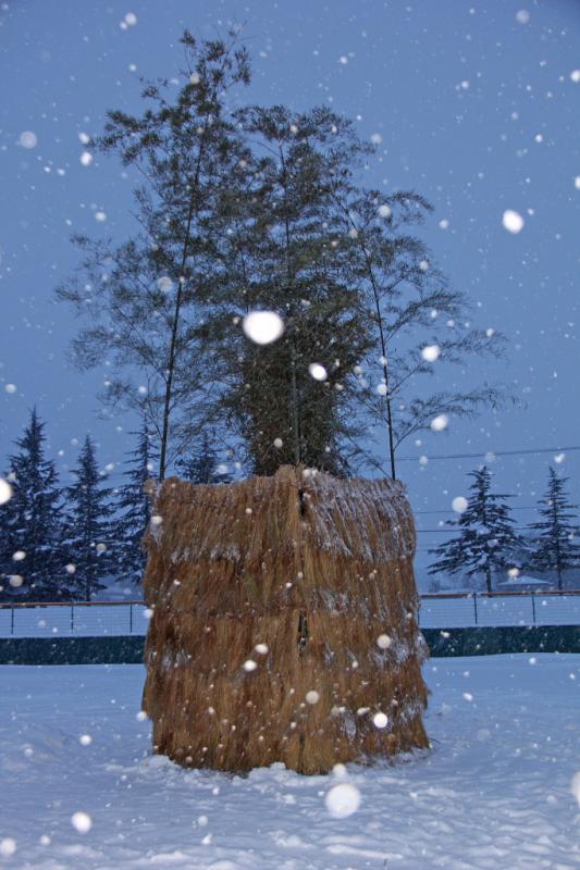 第25回奥州・胆沢「全日本農はだてのつどい」2014その2 2014/02/08