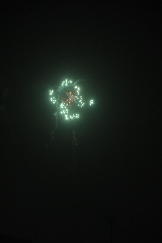 第25回奥州・胆沢「全日本農はだてのつどい」2014その2 2014/02/08