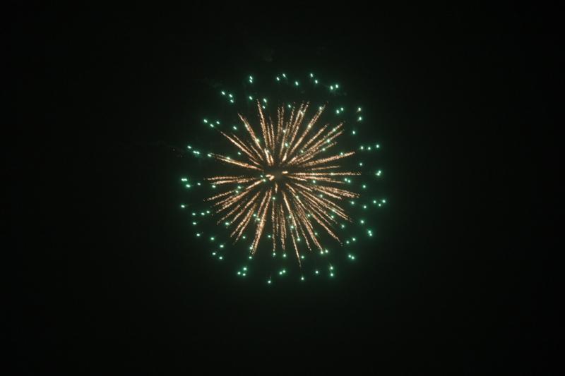 第25回奥州・胆沢「全日本農はだてのつどい」2014その2 2014/02/08