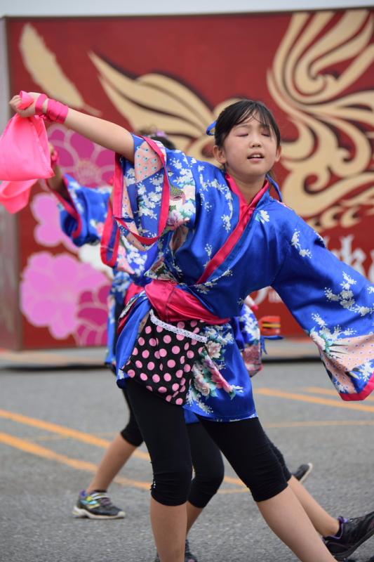 第10回奥州前沢よさこいFestaX 2014その1 2014/07/13