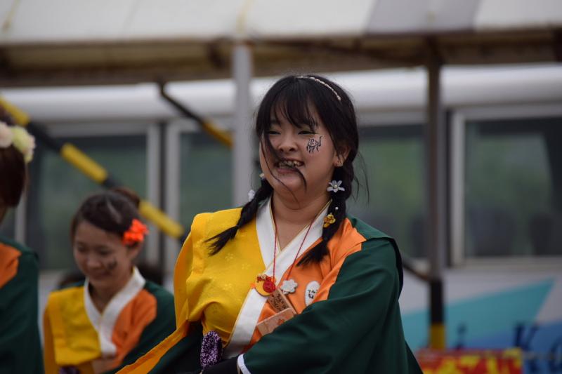 第10回奥州前沢よさこいFestaX 2014その1 2014/07/13