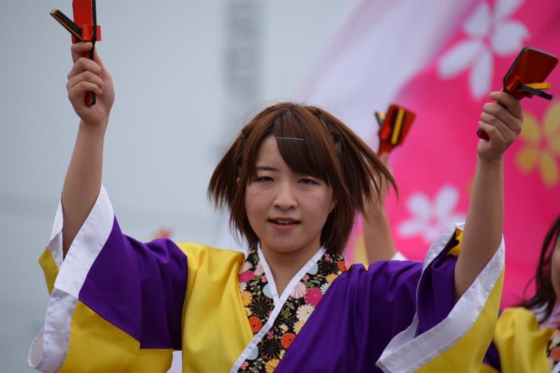 第10回奥州前沢よさこいFestaX 2014その1 2014/07/13