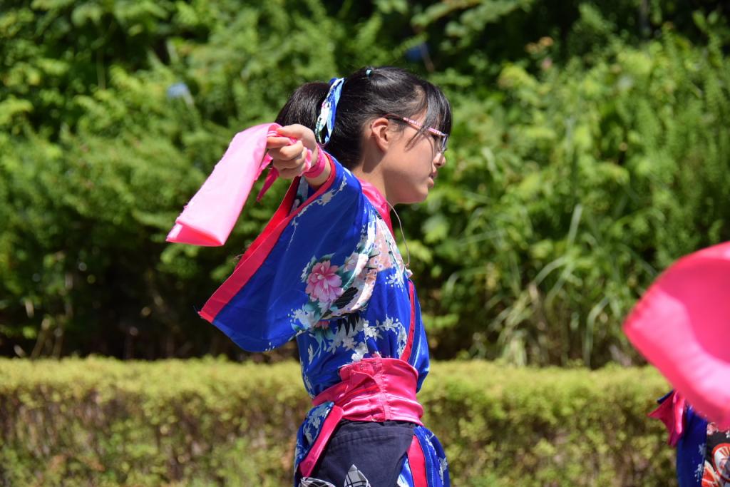 奥州前沢よさこいFesta11前編（奥州前沢よさこいフェスタ2015) 2015/07/12