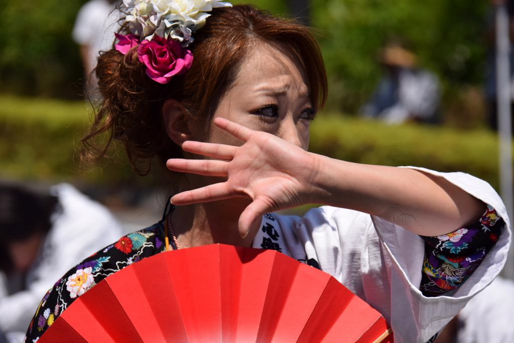 奥州前沢よさこいFesta11前編（奥州前沢よさこいフェスタ2015) 2015/07/12