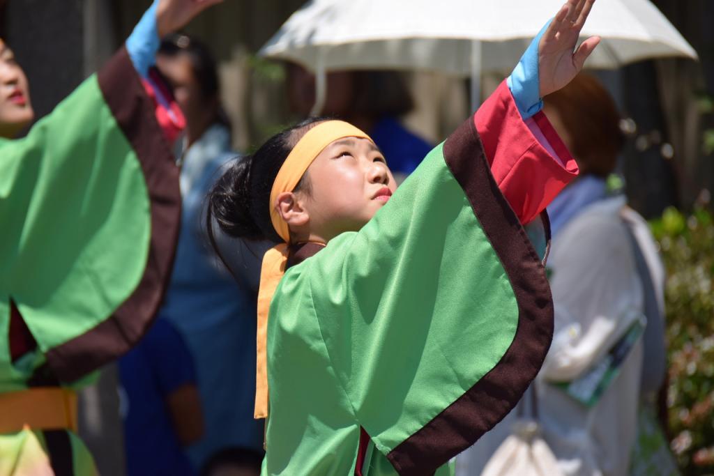 奥州前沢よさこいFesta11前編（奥州前沢よさこいフェスタ2015) 2015/07/12