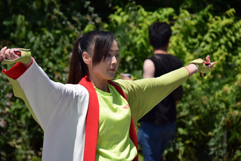 奥州前沢よさこいFesta11前編（奥州前沢よさこいフェスタ2015) 2015/07/12