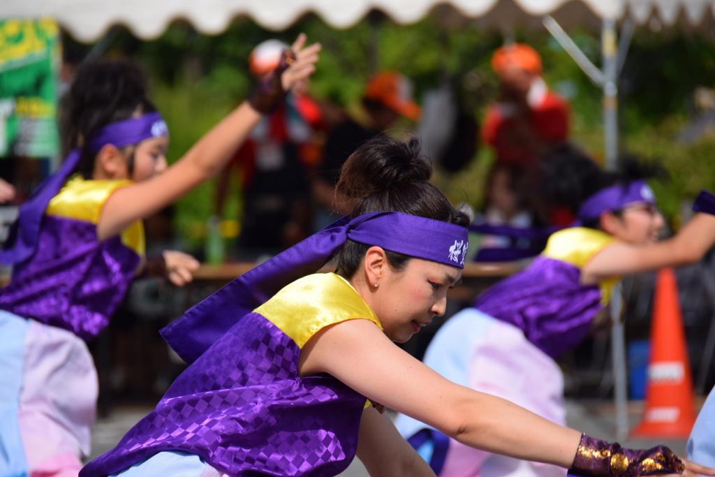 奥州前沢よさこいFesta11前編（奥州前沢よさこいフェスタ2015) 2015/07/12