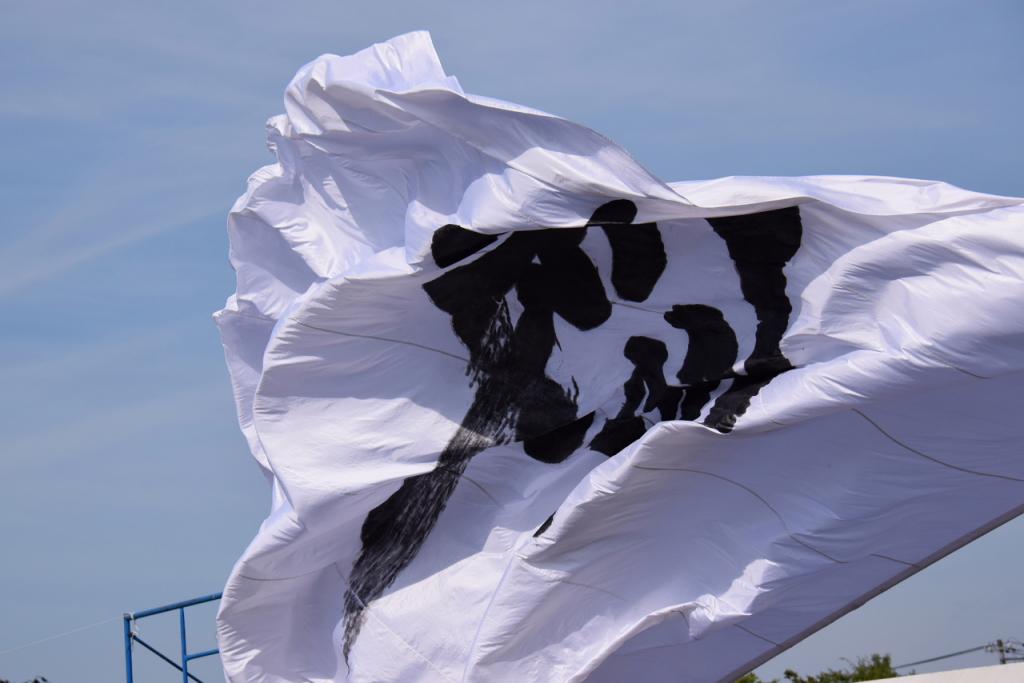 奥州前沢よさこいFesta11前編（奥州前沢よさこいフェスタ2015) 2015/07/12