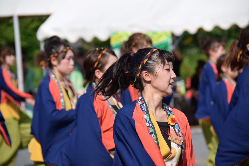 奥州前沢よさこいFesta11前編（奥州前沢よさこいフェスタ2015) 2015/07/12