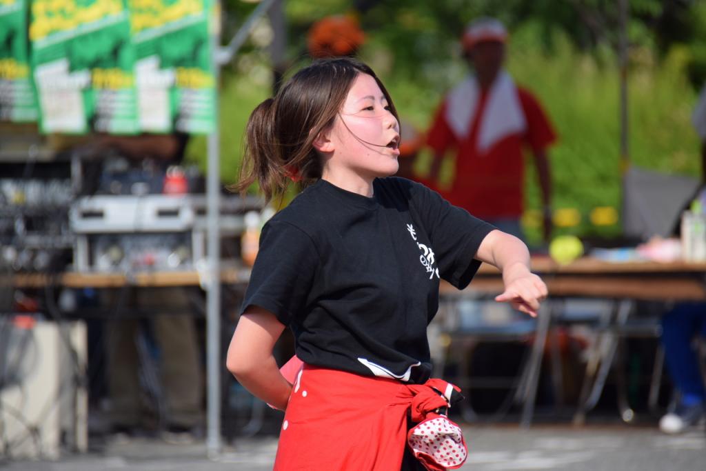 奥州前沢よさこいFesta11前編（奥州前沢よさこいフェスタ2015) 2015/07/12