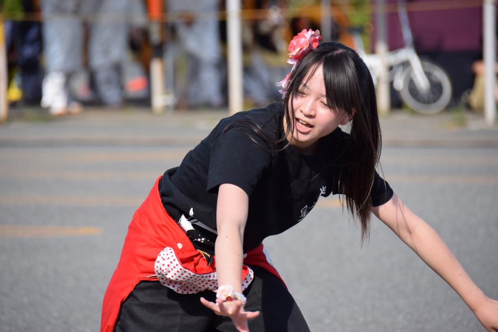 奥州前沢よさこいFesta11前編（奥州前沢よさこいフェスタ2015) 2015/07/12