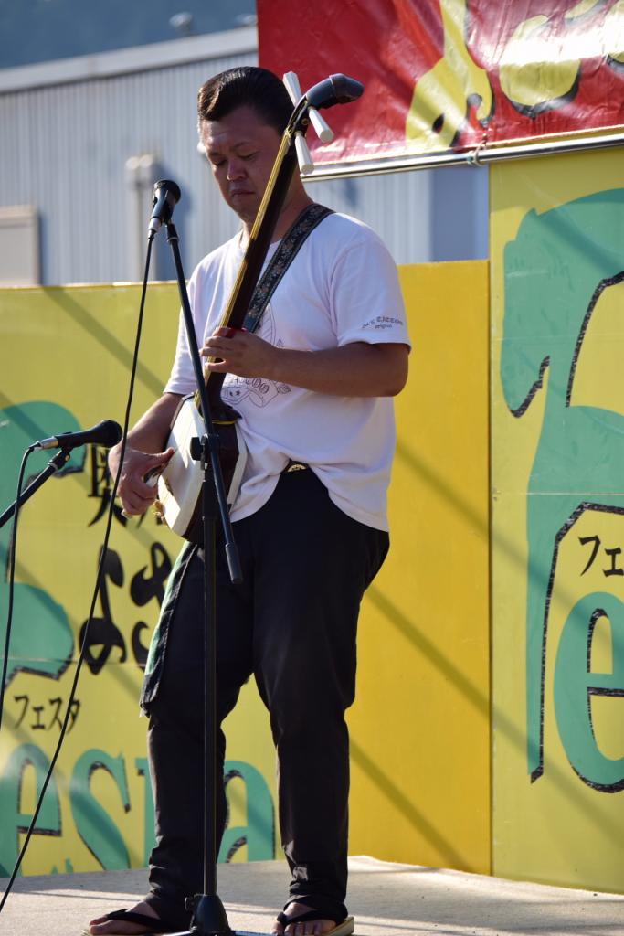 奥州前沢よさこいFesta11前編（奥州前沢よさこいフェスタ2015) 2015/07/12