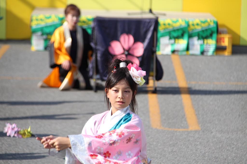 奥州前沢よさこいFesta11後編（奥州前沢よさこいフェスタ2015) 2015/07/12