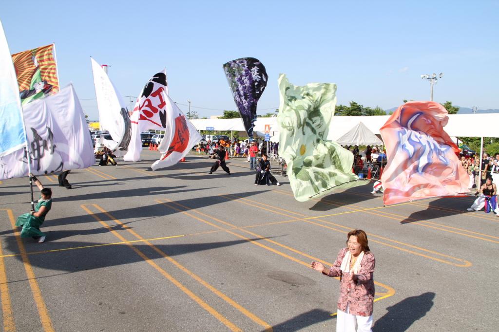 奥州前沢よさこいFesta11後編（奥州前沢よさこいフェスタ2015) 2015/07/12