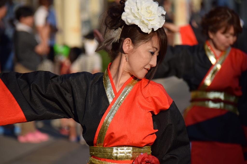 奥州水沢夏まつり2015前編 子供みこし・地方太鼓・干支和まつり・水沢ざっつぁか 2015/08/01