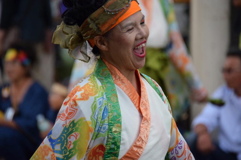 第14回奥州YOSAKOI in みずさわ2015その1 2015/09/20