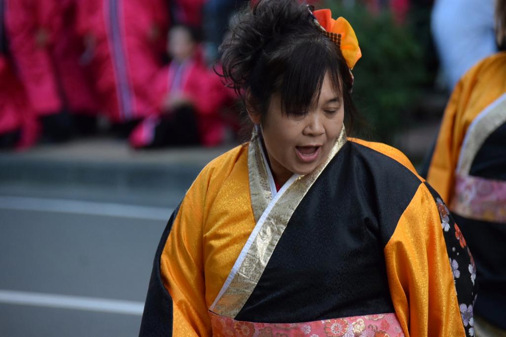 第14回奥州YOSAKOI in みずさわ2015その1 2015/09/20