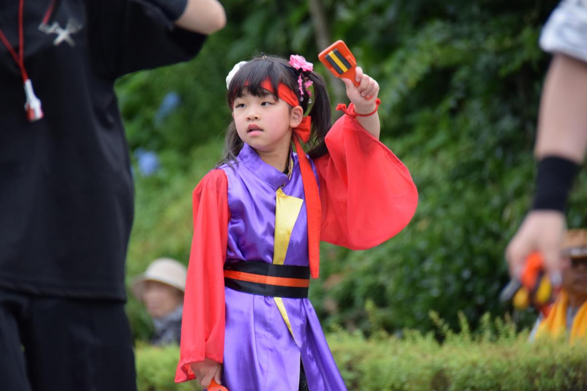 奥州前沢よさこいFesta12前編（奥州前沢よさこいフェスタ2016) 2016/07/10