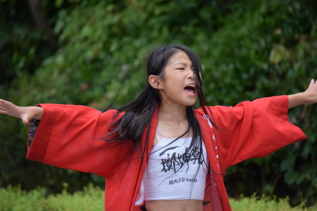 奥州前沢よさこいFesta12前編（奥州前沢よさこいフェスタ2016) 2016/07/10