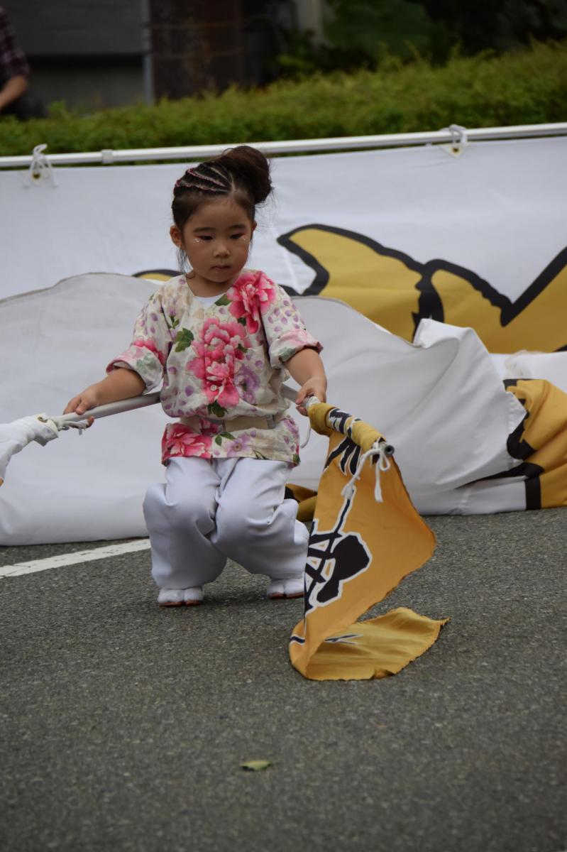 奥州前沢よさこいFesta12前編（奥州前沢よさこいフェスタ2016) 2016/07/10