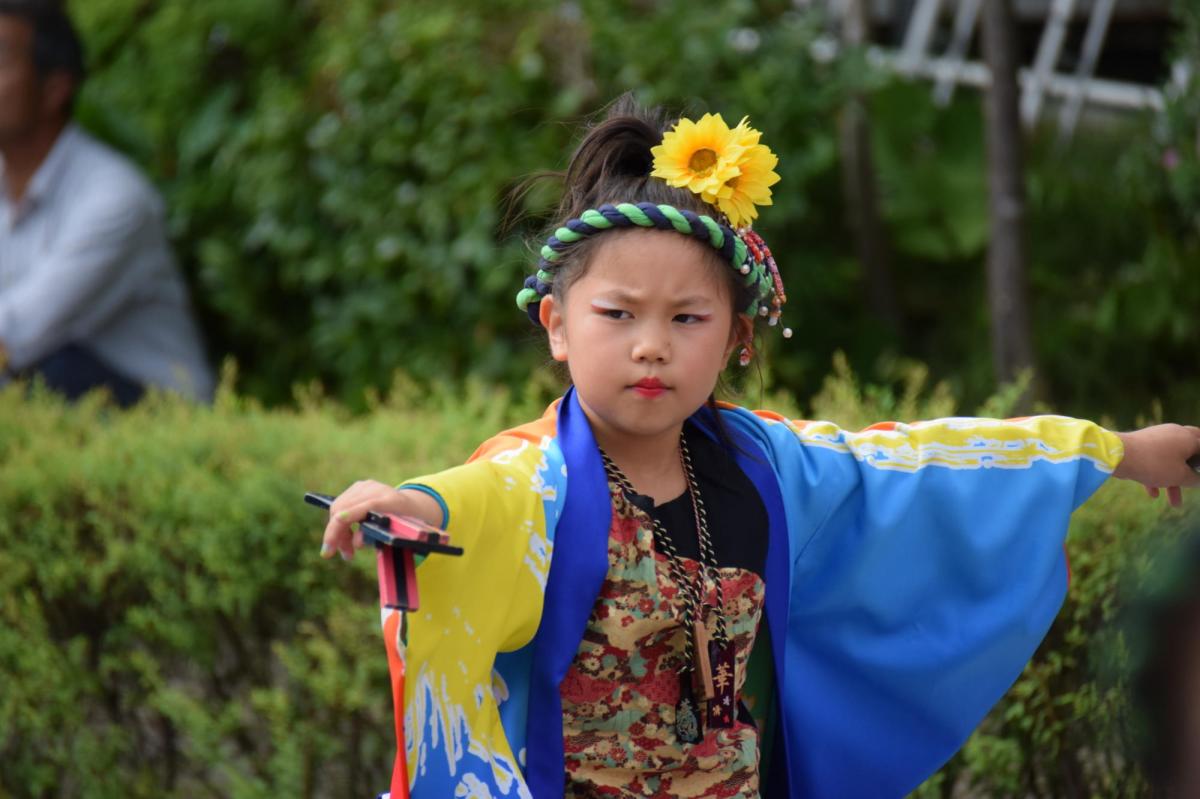 奥州前沢よさこいFesta12前編（奥州前沢よさこいフェスタ2016) 2016/07/10