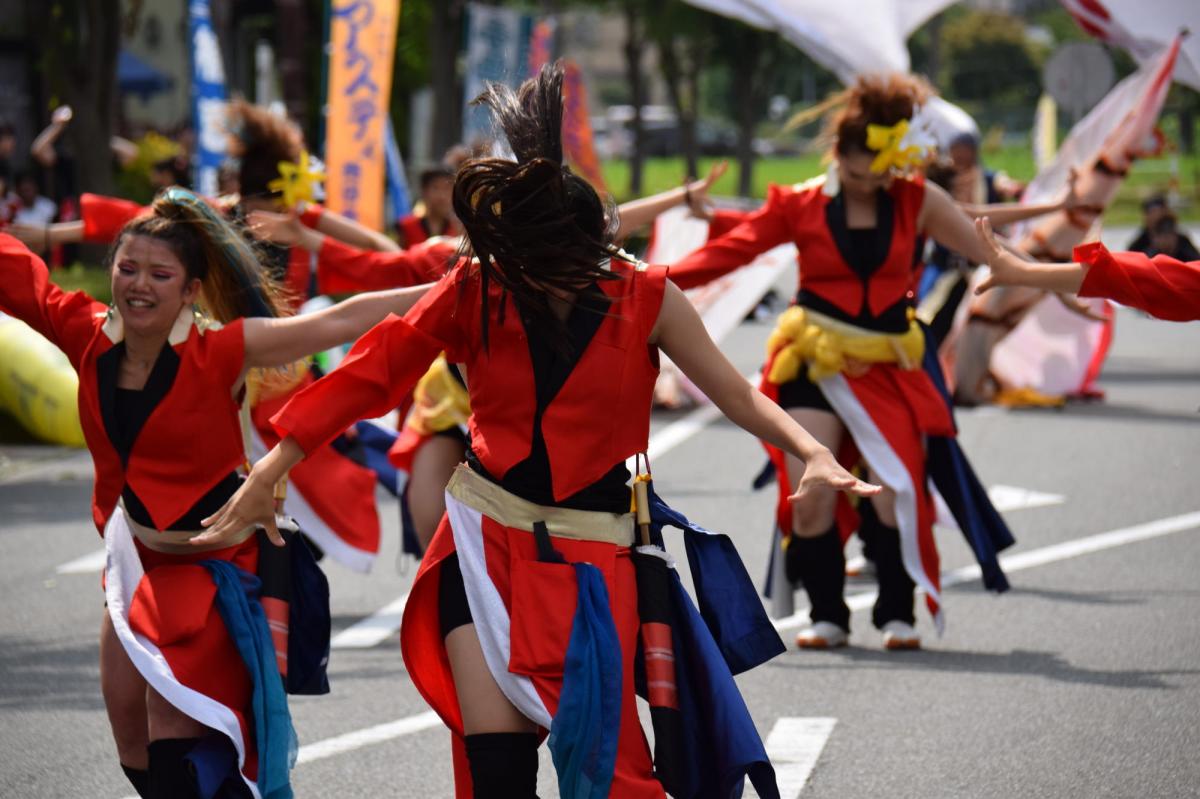奥州前沢よさこいFesta12前編（奥州前沢よさこいフェスタ2016) 2016/07/10