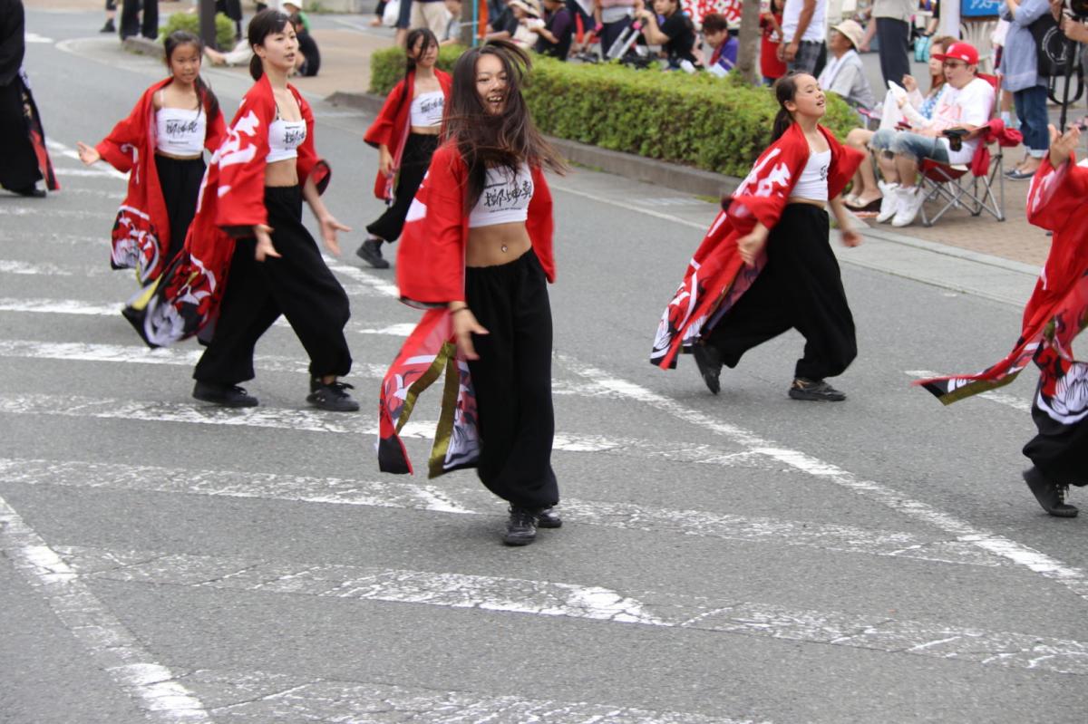 奥州前沢よさこいFesta12中編（奥州前沢よさこいフェスタ2016) 2016/07/10