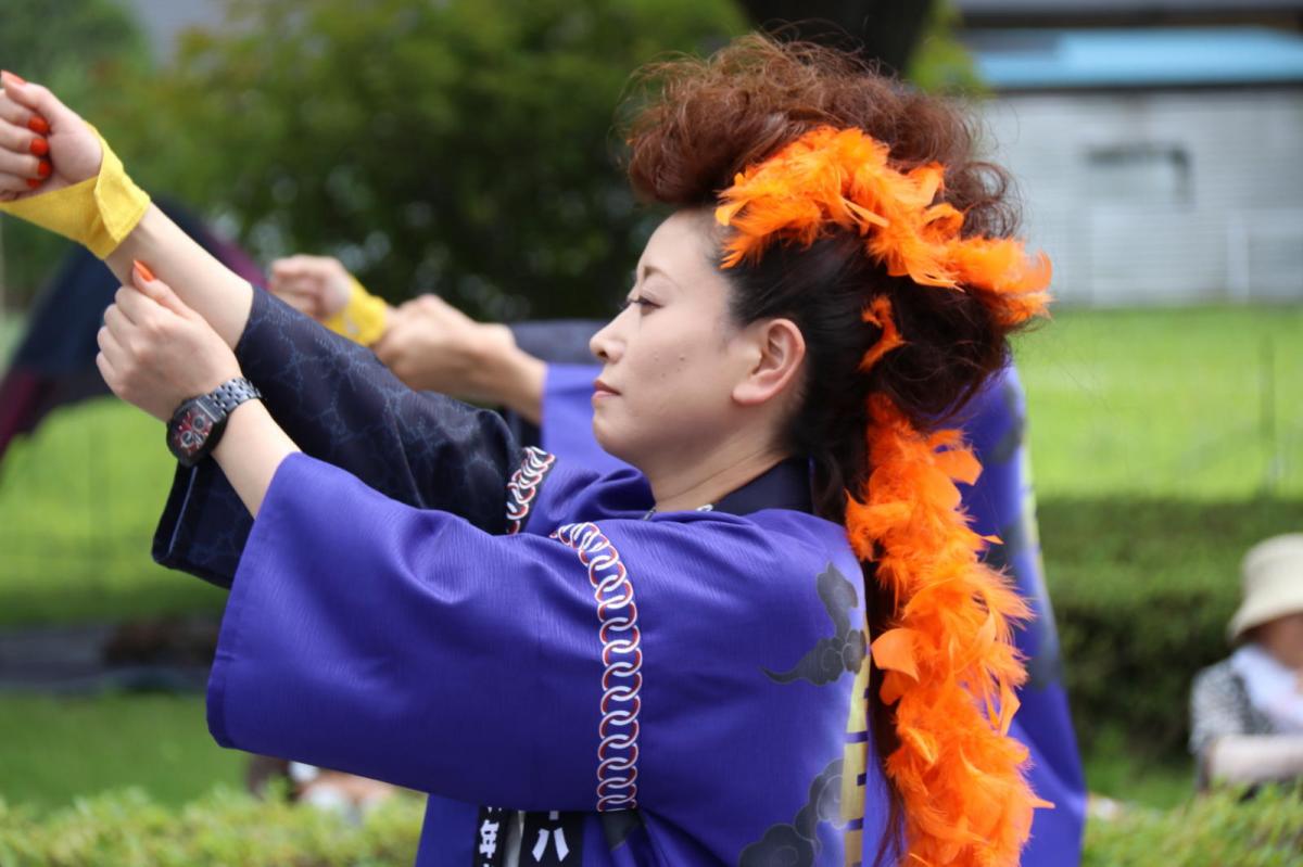 奥州前沢よさこいFesta12中編（奥州前沢よさこいフェスタ2016) 2016/07/10
