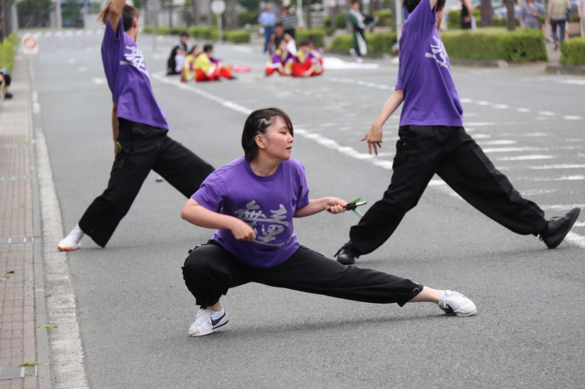 奥州前沢よさこいFesta12中編（奥州前沢よさこいフェスタ2016) 2016/07/10