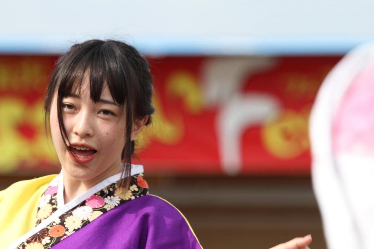 奥州前沢よさこいFesta12後編（奥州前沢よさこいフェスタ2016) 2016/07/10