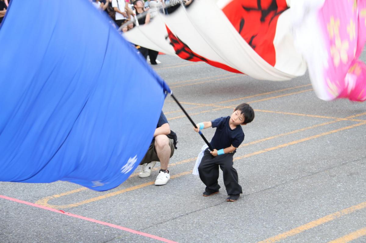 奥州前沢よさこいFesta12後編（奥州前沢よさこいフェスタ2016) 2016/07/10